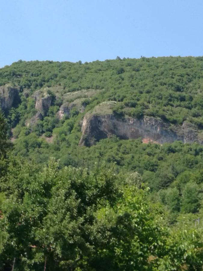 Самостоятелни Стаи В Къща За Гости Балкан Ribarica Exteriér fotografie